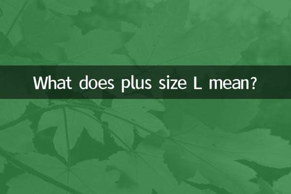 What does plus size L mean?