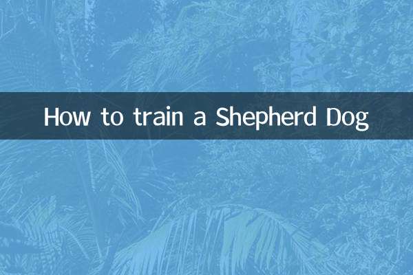 Cómo entrenar a un perro pastor