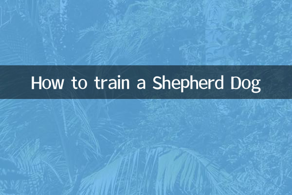 Cómo entrenar a un perro pastor