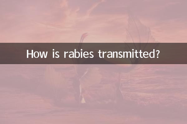 কিভাবে জলাতঙ্ক সংক্রমণ হয়?