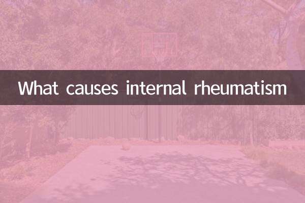 What causes internal rheumatism