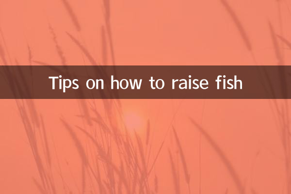 نکاتی در مورد نحوه پرورش ماهی