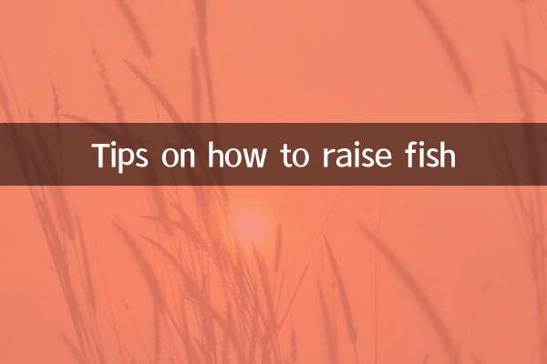 نکاتی در مورد نحوه پرورش ماهی