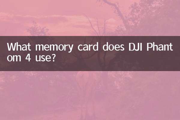 Quelle carte mémoire DJI Phantom 4 utilise-t-il ?