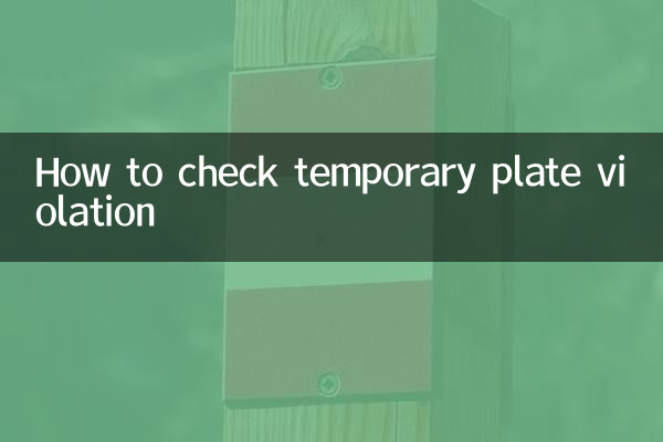 임시판 위반 확인 방법