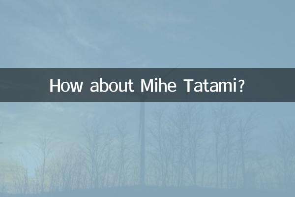 Как насчет Михе Татами?