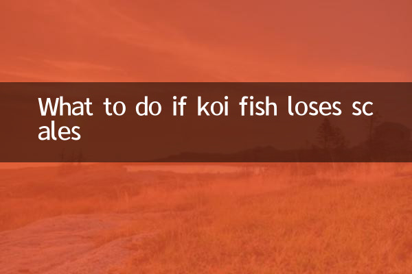 O que fazer se o peixe koi perder escamas