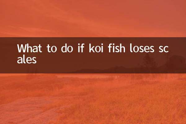 What to do if koi fish loses scales