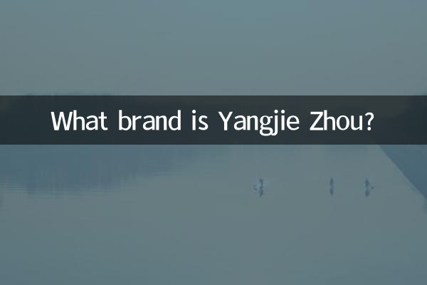 یانگجی ژو چه مارکی است؟