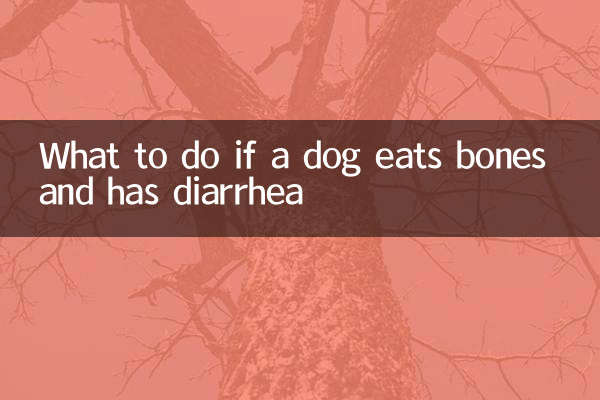 একটি কুকুর হাড় খেয়ে এবং ডায়রিয়া হলে কি করবেন