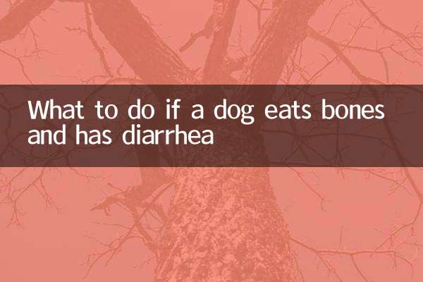 একটি কুকুর হাড় খেয়ে এবং ডায়রিয়া হলে কি করবেন