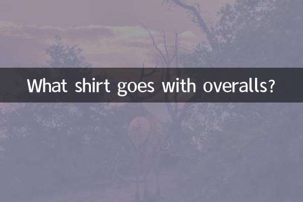 オーバーオールに合うシャツは何ですか?