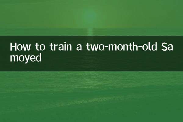 生後2か月のサモエドのしつけ方