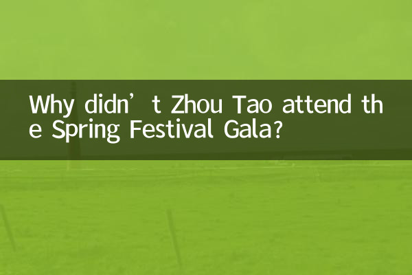 周濤為什麼不上春晚