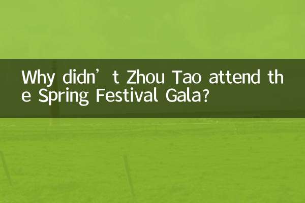 周濤為什麼不上春晚