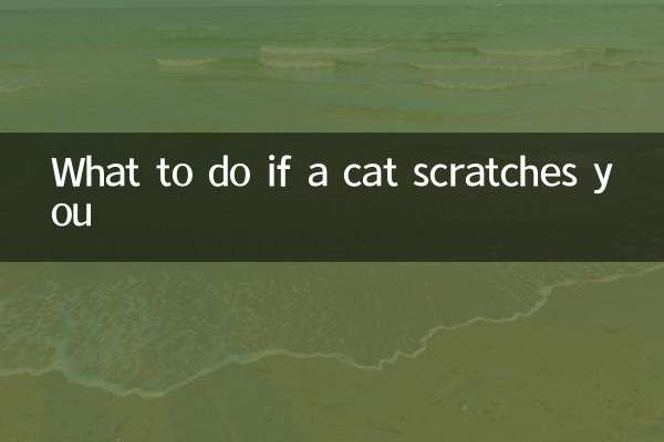 What to do if a cat scratches you