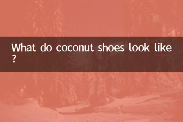 Che aspetto hanno le scarpe di cocco?