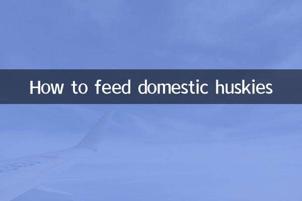 How to feed domestic huskies