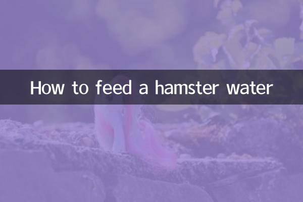 햄스터에게 물을 먹이는 방법