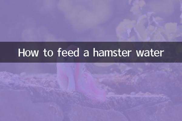 햄스터에게 물을 먹이는 방법