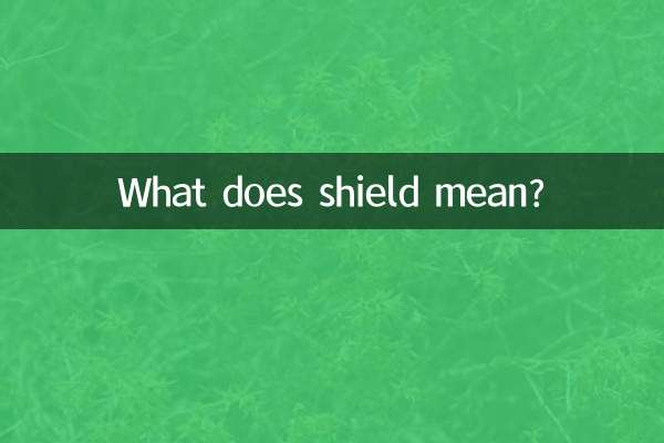 شیلڈ کا کیا مطلب ہے؟