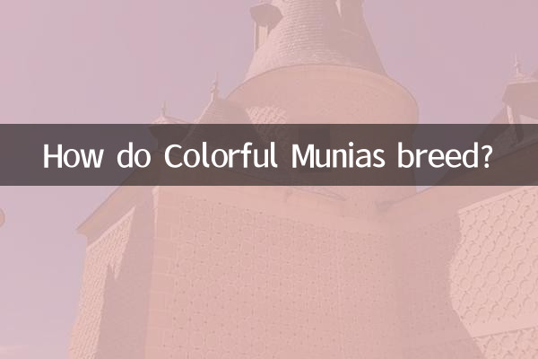 七彩文鸟怎么繁殖