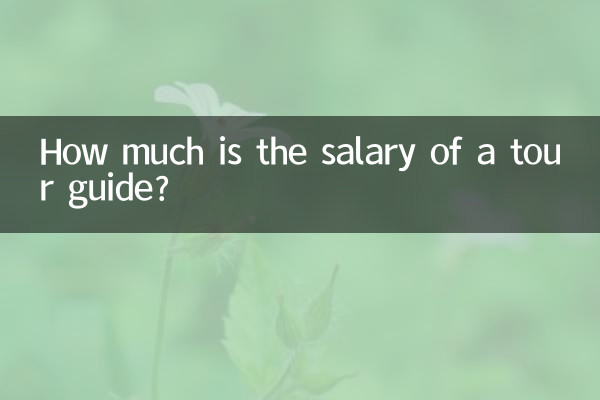 How much is the salary of a tour guide?