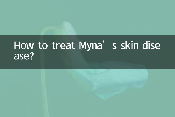 چگونه بیماری پوستی مینا را درمان کنیم؟