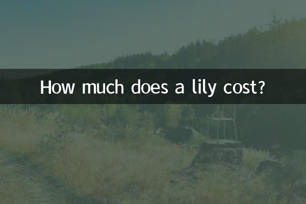 백합 가격은 얼마입니까?