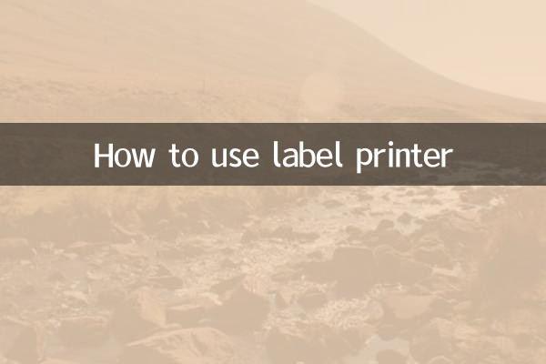 Come utilizzare la stampante per etichette