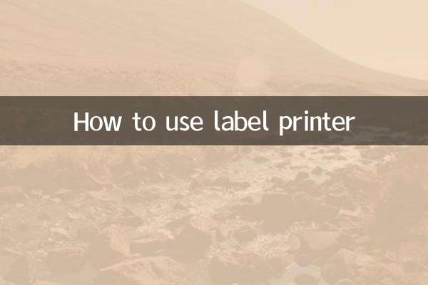 Come utilizzare la stampante per etichette