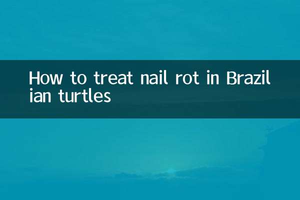 Como tratar a podridão ungueal em tartarugas brasileiras