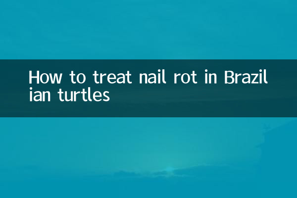 Como tratar a podridão ungueal em tartarugas brasileiras