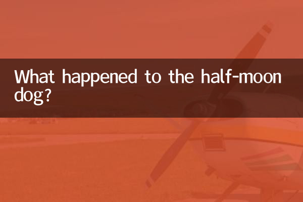 ماذا حدث للكلب نصف القمر؟