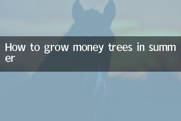 गर्मियों में मनी ट्री कैसे उगाएं