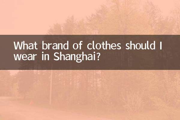 ¿Qué marca de ropa debo usar en Shanghai?