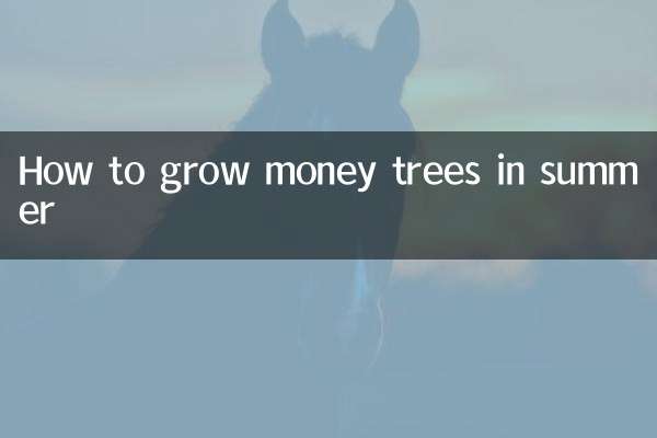 गर्मियों में मनी ट्री कैसे उगाएं