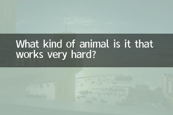 很努力是什麼動物