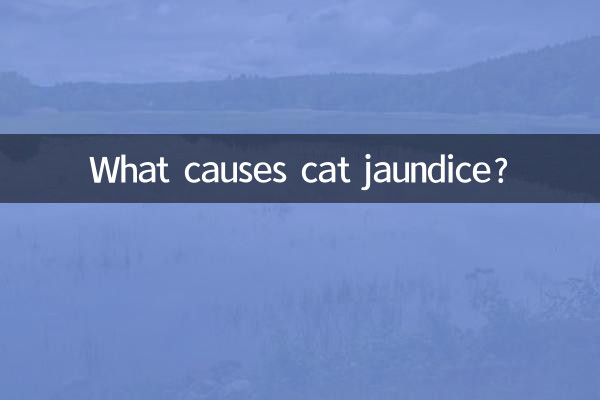 বিড়ালের জন্ডিসের কারণ কী?