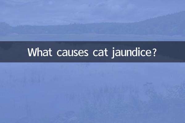 বিড়ালের জন্ডিসের কারণ কী?