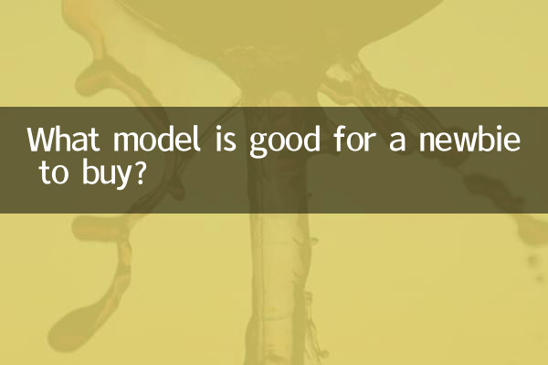 Welches Modell eignet sich für einen Neuling?