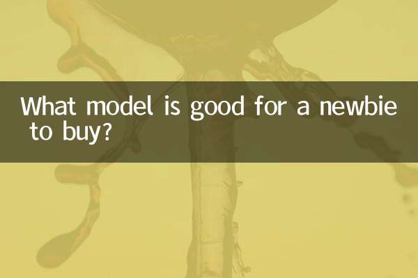 Quale modello è opportuno acquistare per un principiante?