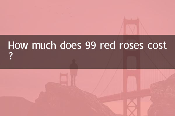 빨간 장미 99송이 가격은 얼마인가요?
