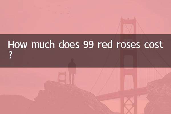 빨간 장미 99송이 가격은 얼마인가요?