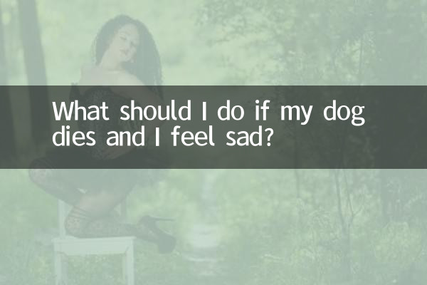 狗死了傷心怎麼辦