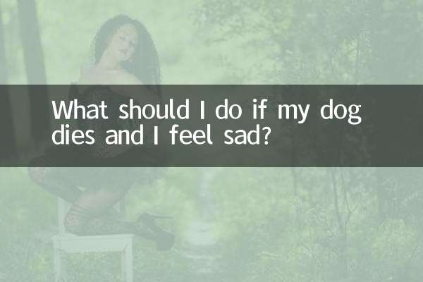 यदि मेरा कुत्ता मर जाए और मुझे दुख हो तो मुझे क्या करना चाहिए?