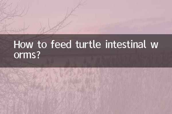 چگونه به کرم روده لاک پشت تغذیه کنیم؟