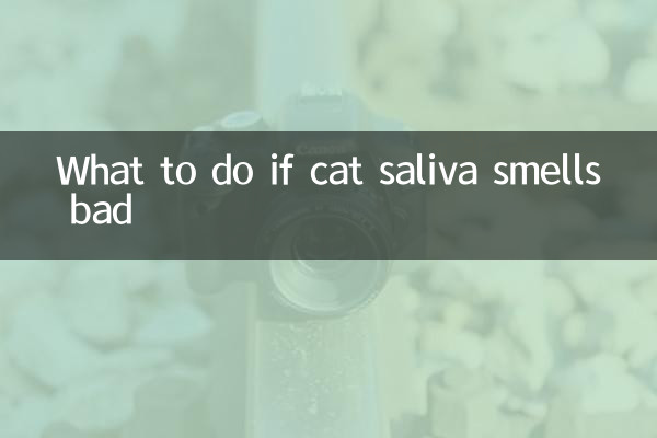 Что делать, если кошачья слюна неприятно пахнет