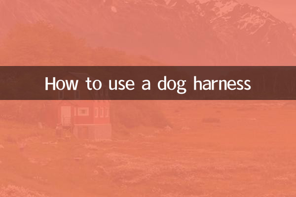 개 하네스를 사용하는 방법