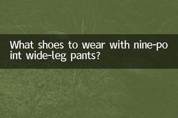 What shoes to wear with nine-point wide-leg pants?